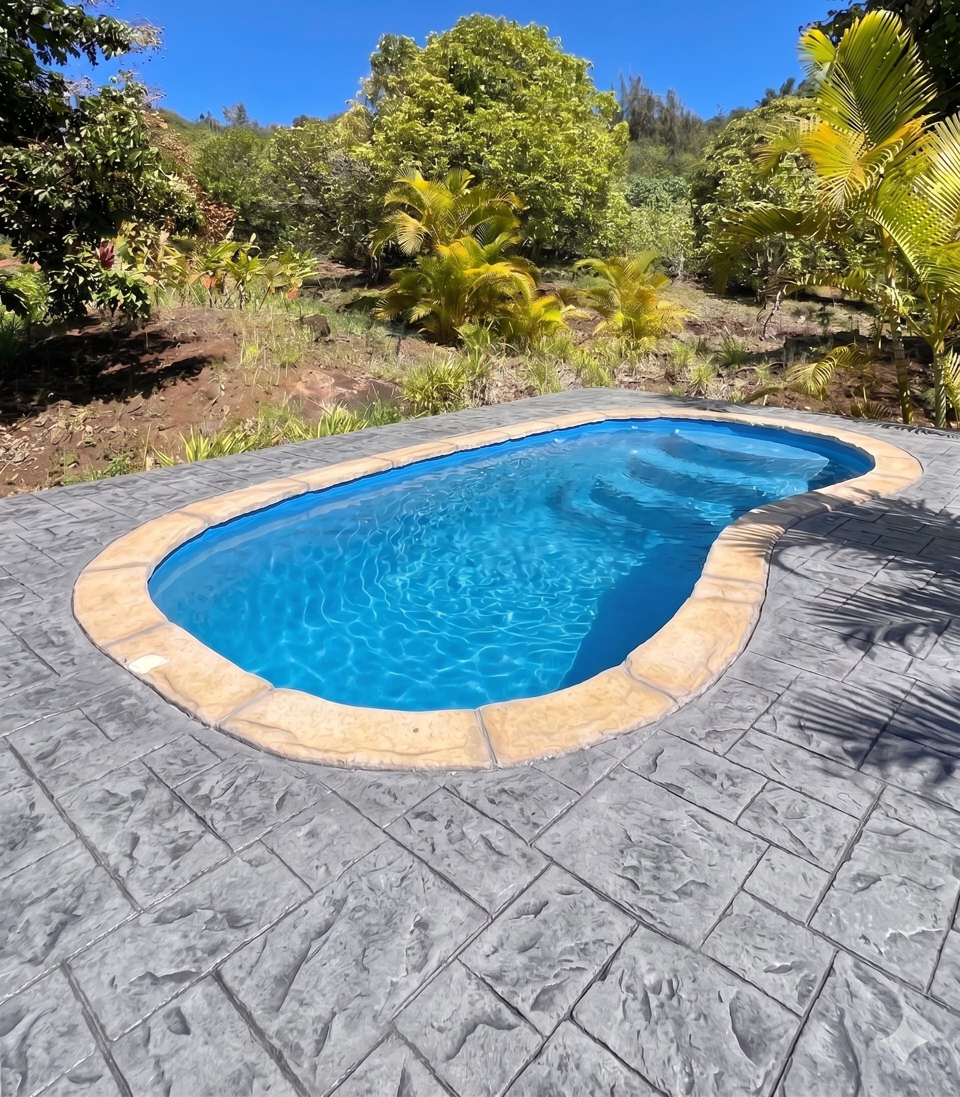 Projet type Picot terrain réunion